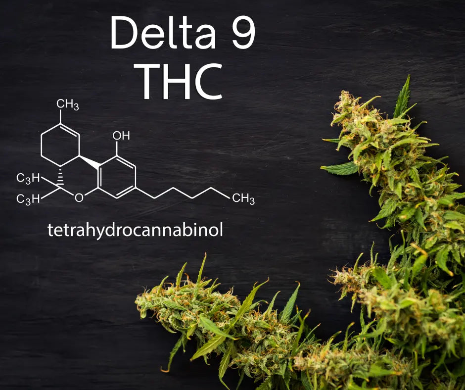 Does Delta 9 Show Up As Thc