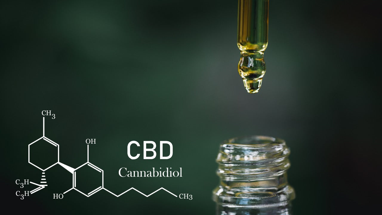 CBD vs. THC: Which Cannabinoid Suits Your Needs?