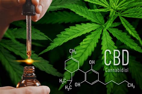 Unlocking the Power of Cannabinoids: Benefits of CBD, CBN, and CBG