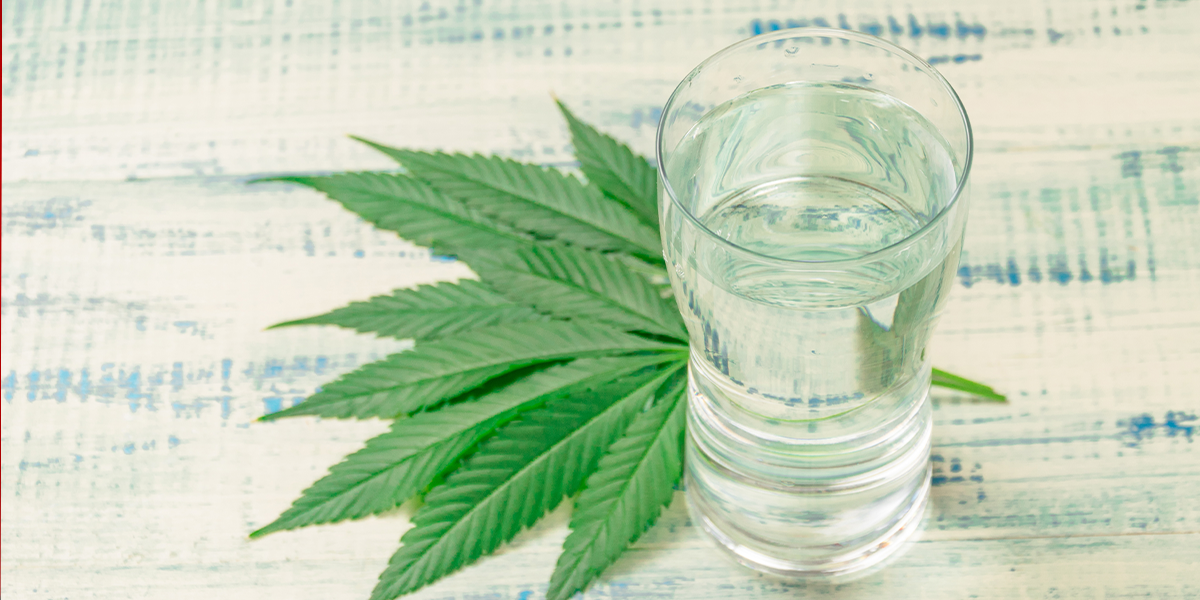 Sparkling Innovations: Top Flavor Profiles and Formulations Shaping the CBD Sparkling Water Boom