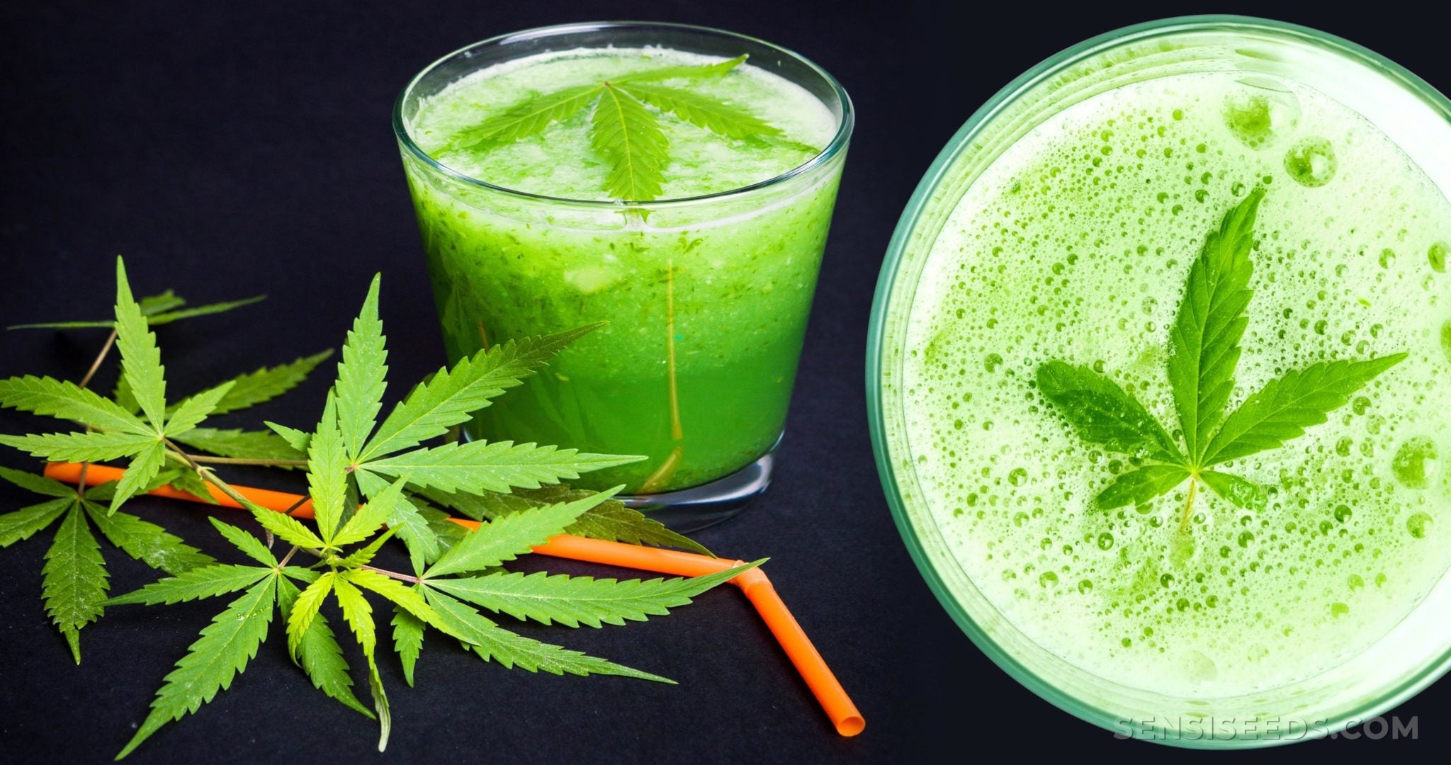 Cannabis Beverages on the Rise: Delta Soda Leads the Charge