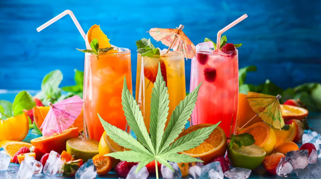 From Farm to Fizz: The Sustainable Journey of Cannabis Drinks in a Green Economy