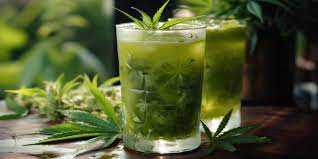 Sipping the Green Wave: Can You Drink Cannabis? A New Poll Spills the Tea
