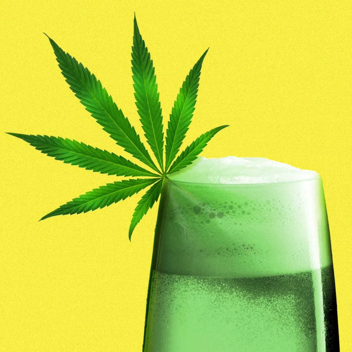 Bulk Buying Guide: Investing in the Future of Cannabis Drinks