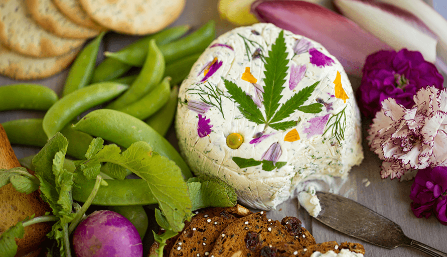 Cannabis for Self-Care: A Journey into Marijuana Wellness