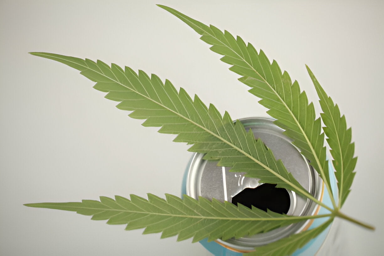 The Sparkling Revolution: Cannabis Seltzer Takes Center Stage