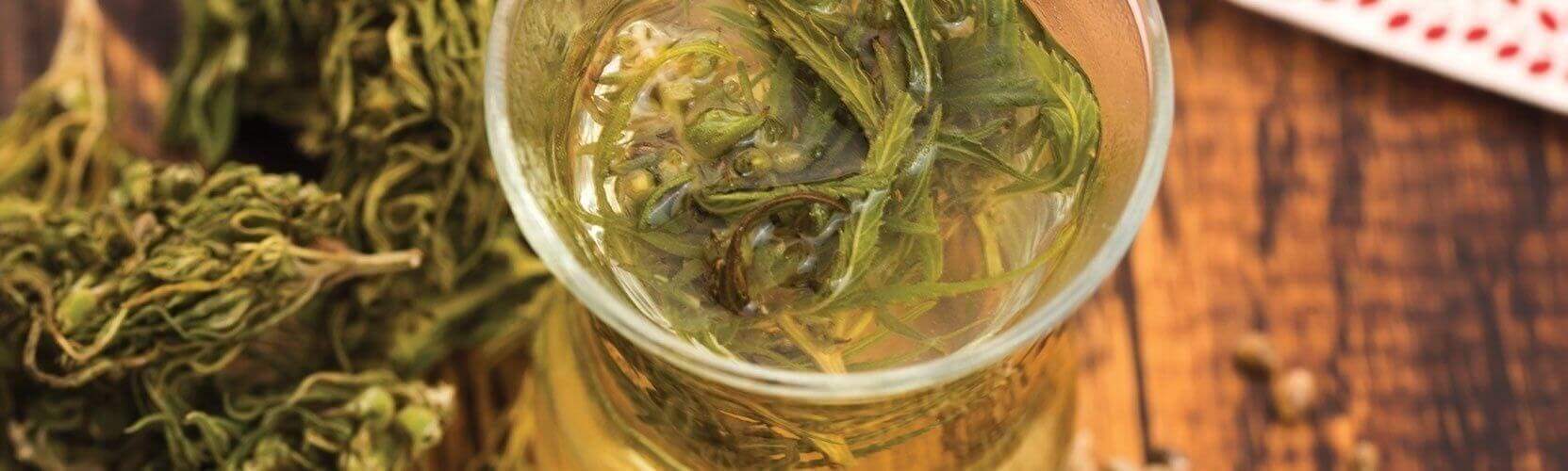 Discovering the World of Cannabis-Infused Water