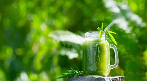 What Exactly Is Cannabis Water and Seltzer?