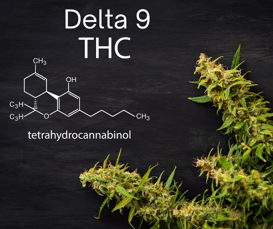 Cannabis Cocktails Reimagined: Mixing Delta-9 into Your Favorite Drinks
