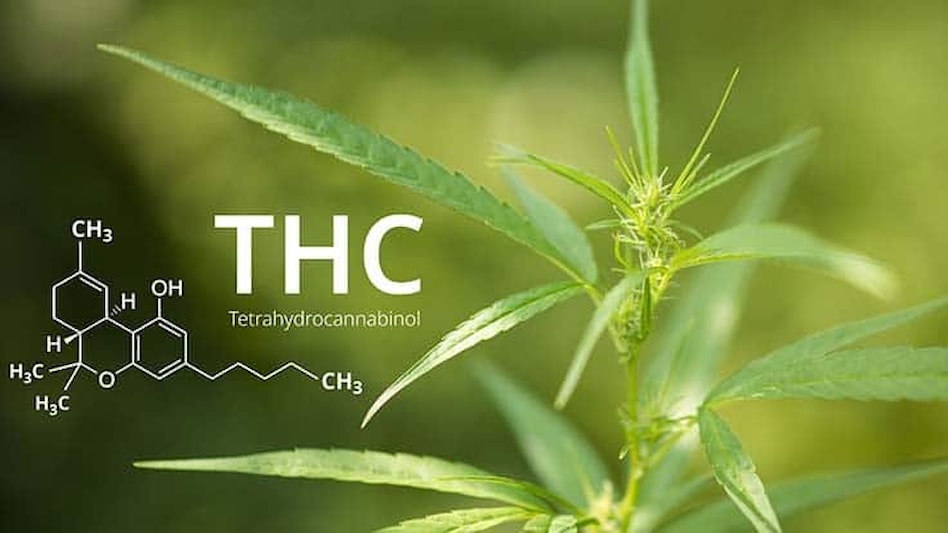 Delta 9 Drinks Wholesale