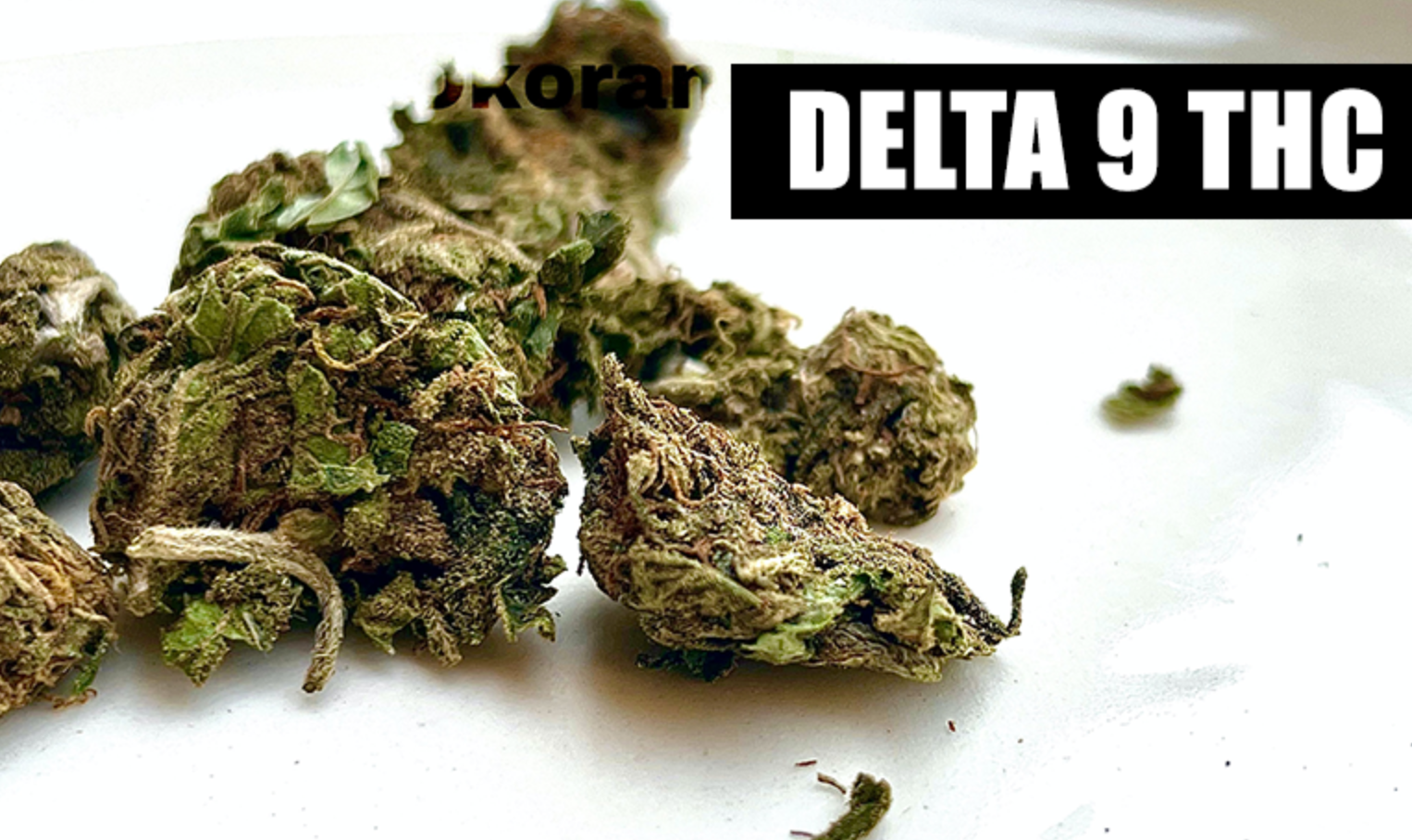 Delta Nine: Unlocking the Full Potential of THC Products