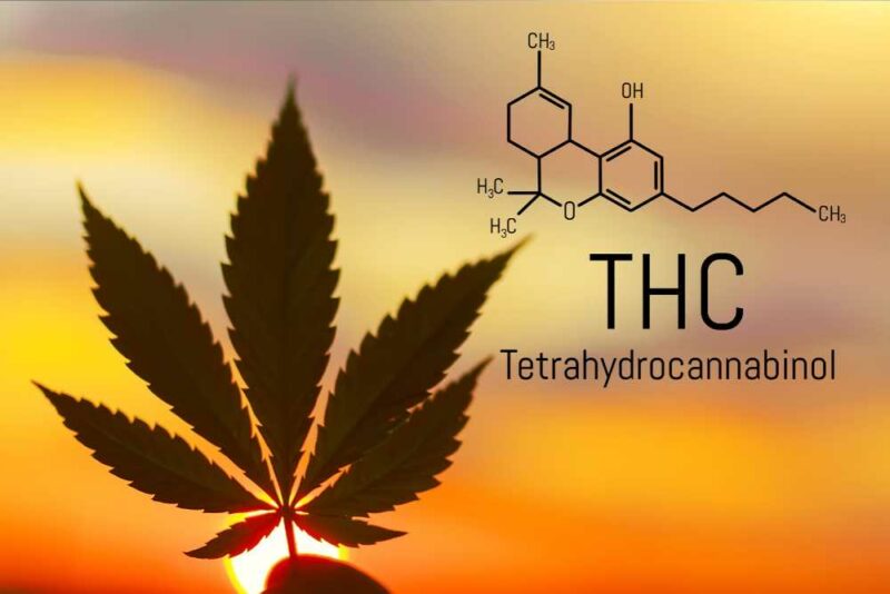 Navigating the Green Wave: Understanding Legal THC Products