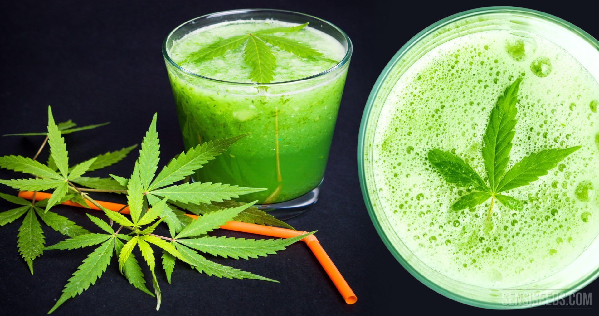 Exploring the Effects of THC Drinks: What to Expect