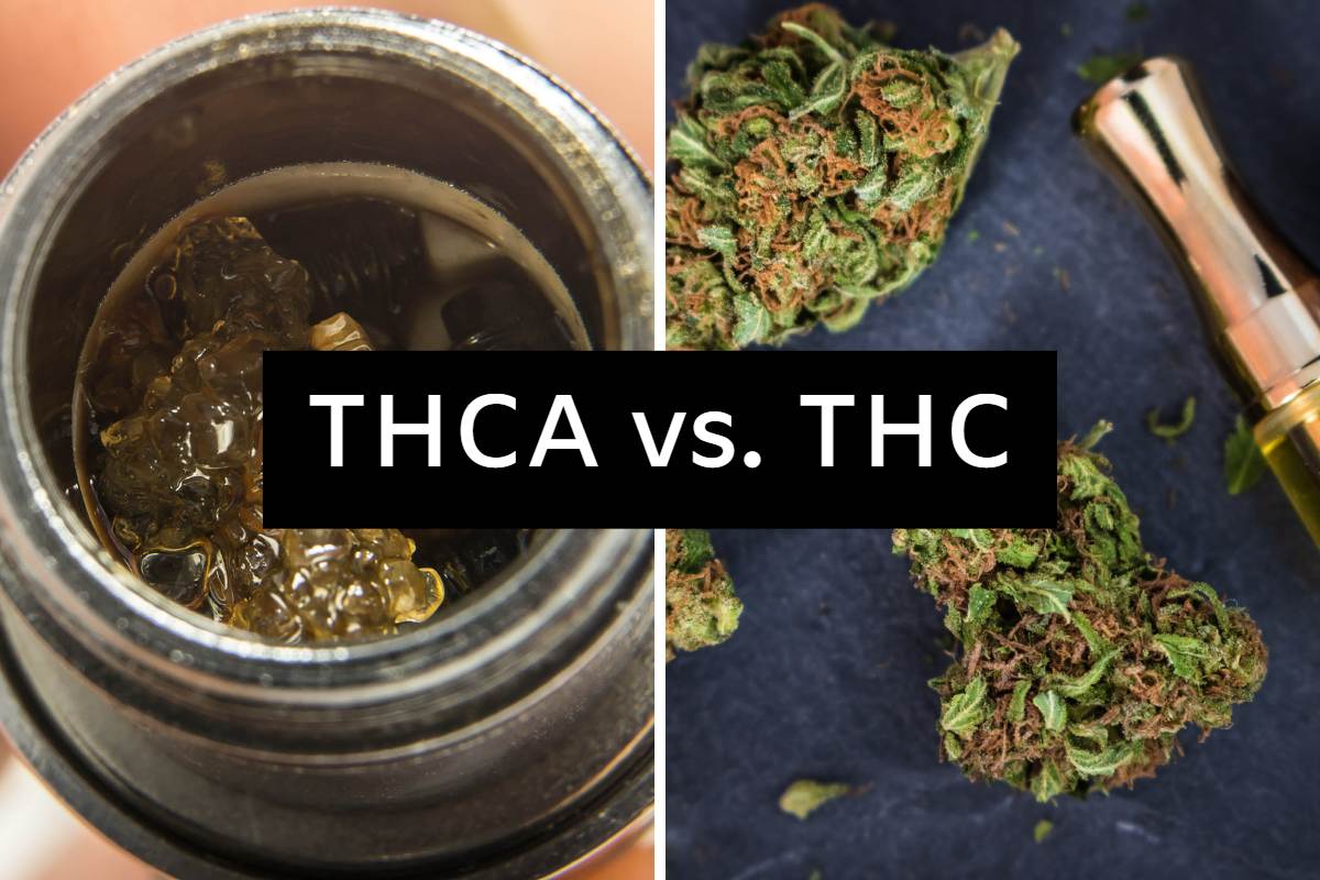 Igniting the Debate: THCA or THC – Who's the Real Heavyweight?