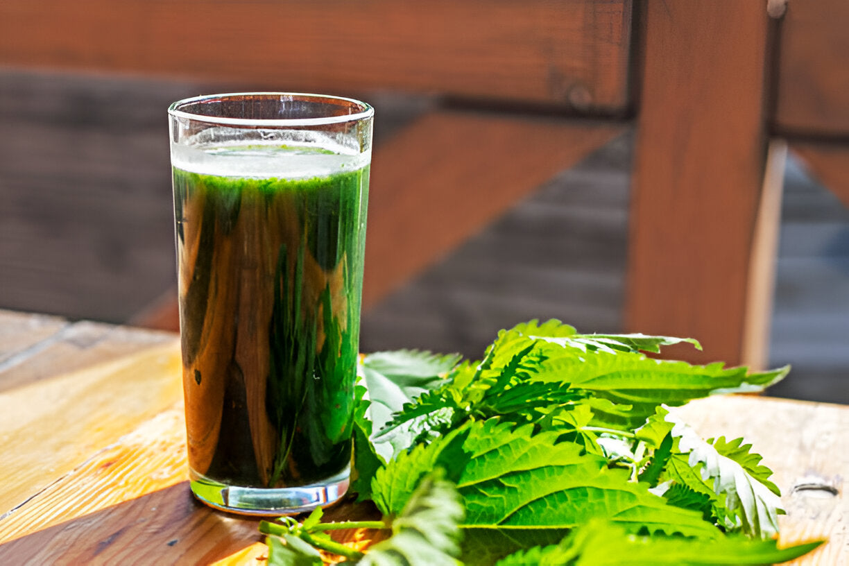 A Shift to Lighter Highs: Why Sessionable Beverages Are Trending