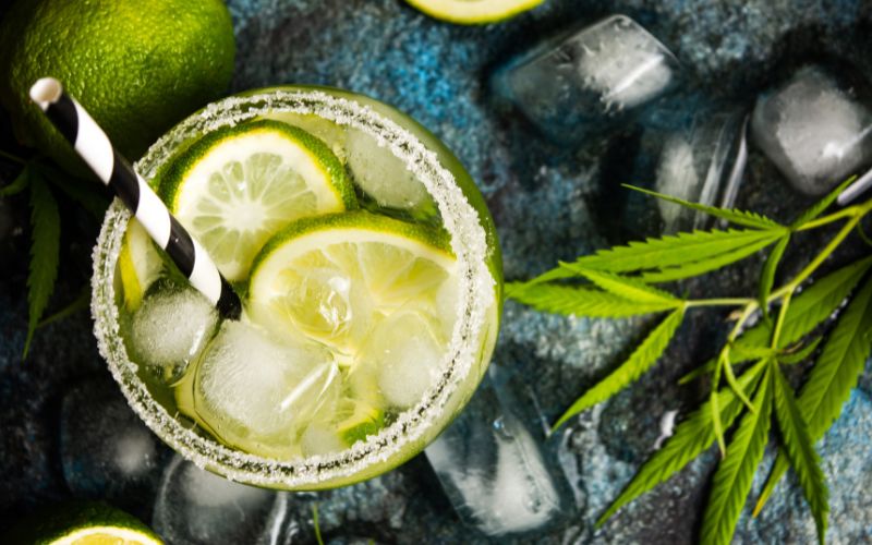 Sipping the Forbidden Fruit: Unraveling the Allure of THC Beverages