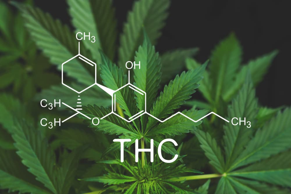 Navigating 2025 Regulations: What New THC Limits Mean for Hemp Beverage Producers and Consumers