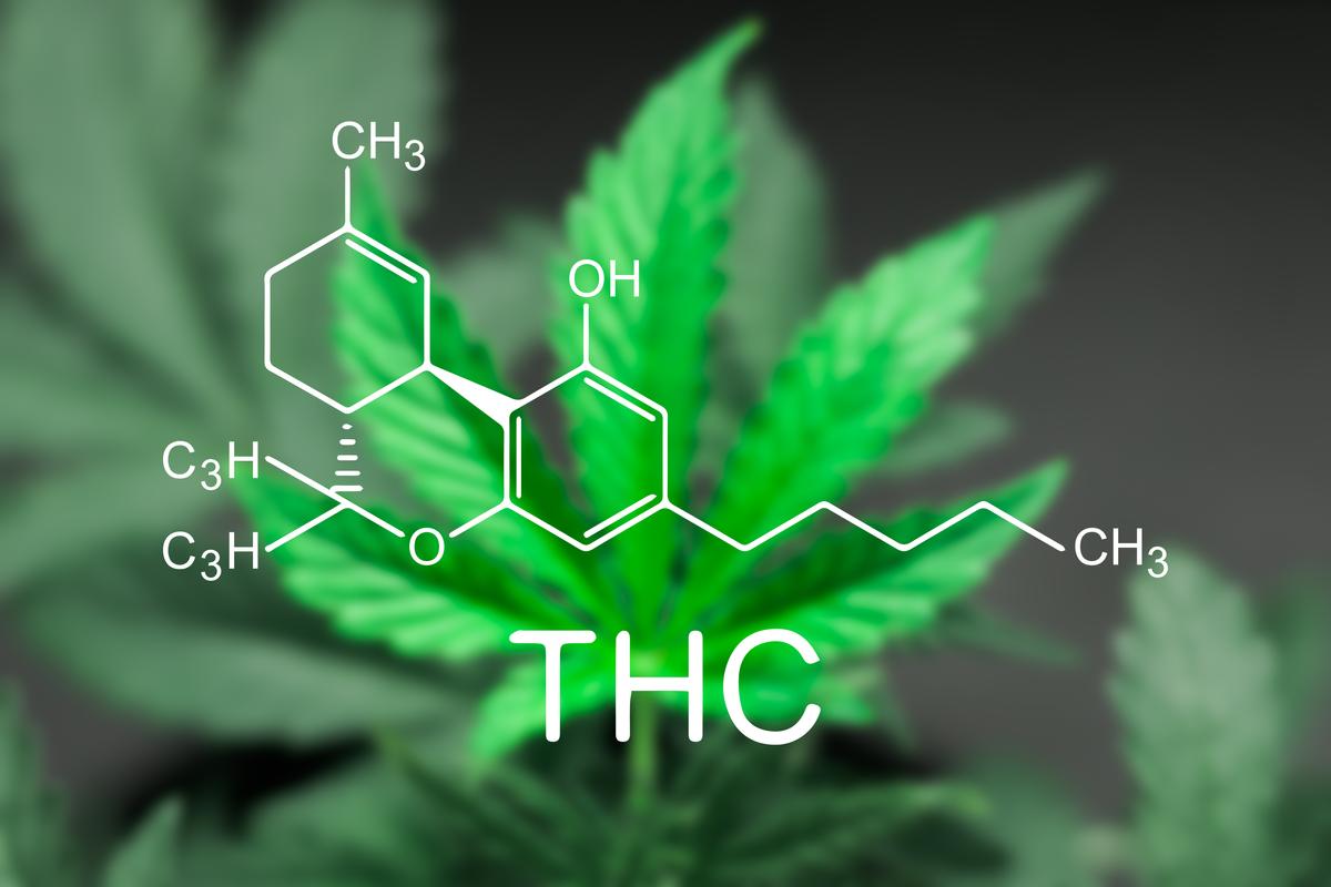 THC-Enhanced Living: A New Frontier in Culinary Arts and Wellness