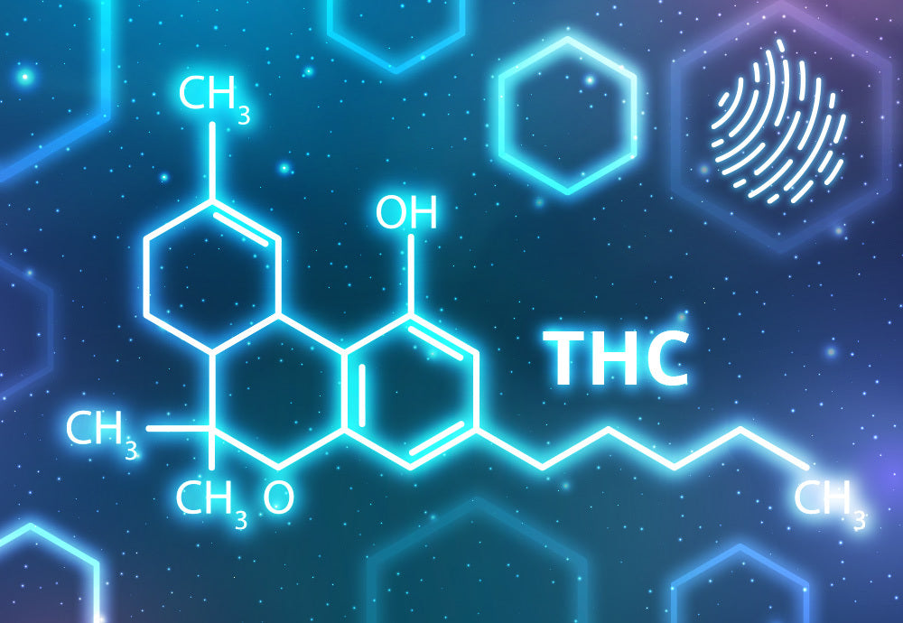 Experience & Expectations – What It’s Like to Drink a THC Seltzer