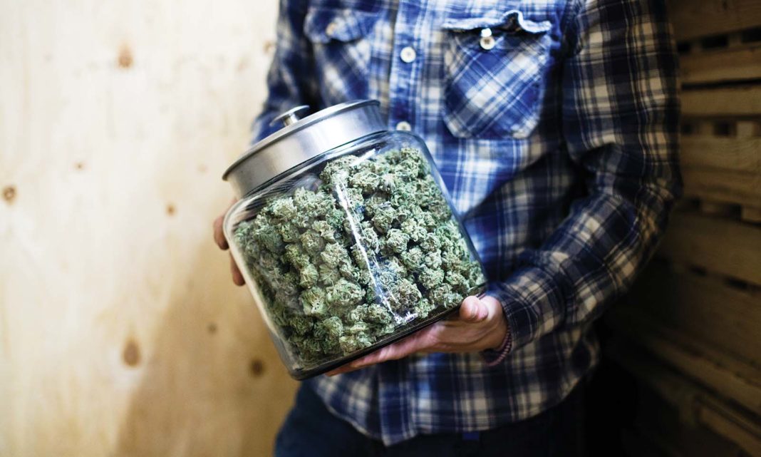 Quenching Thirst with a Twist: Introducing Weed Infused Water